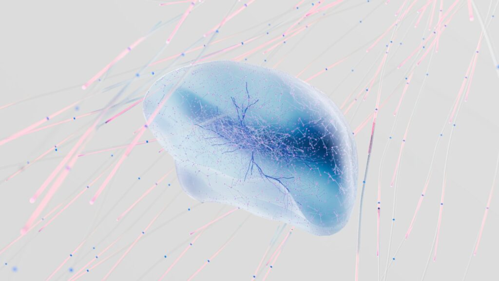 Train a Custom Diffusion Model