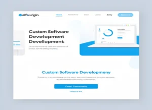 custom software development services